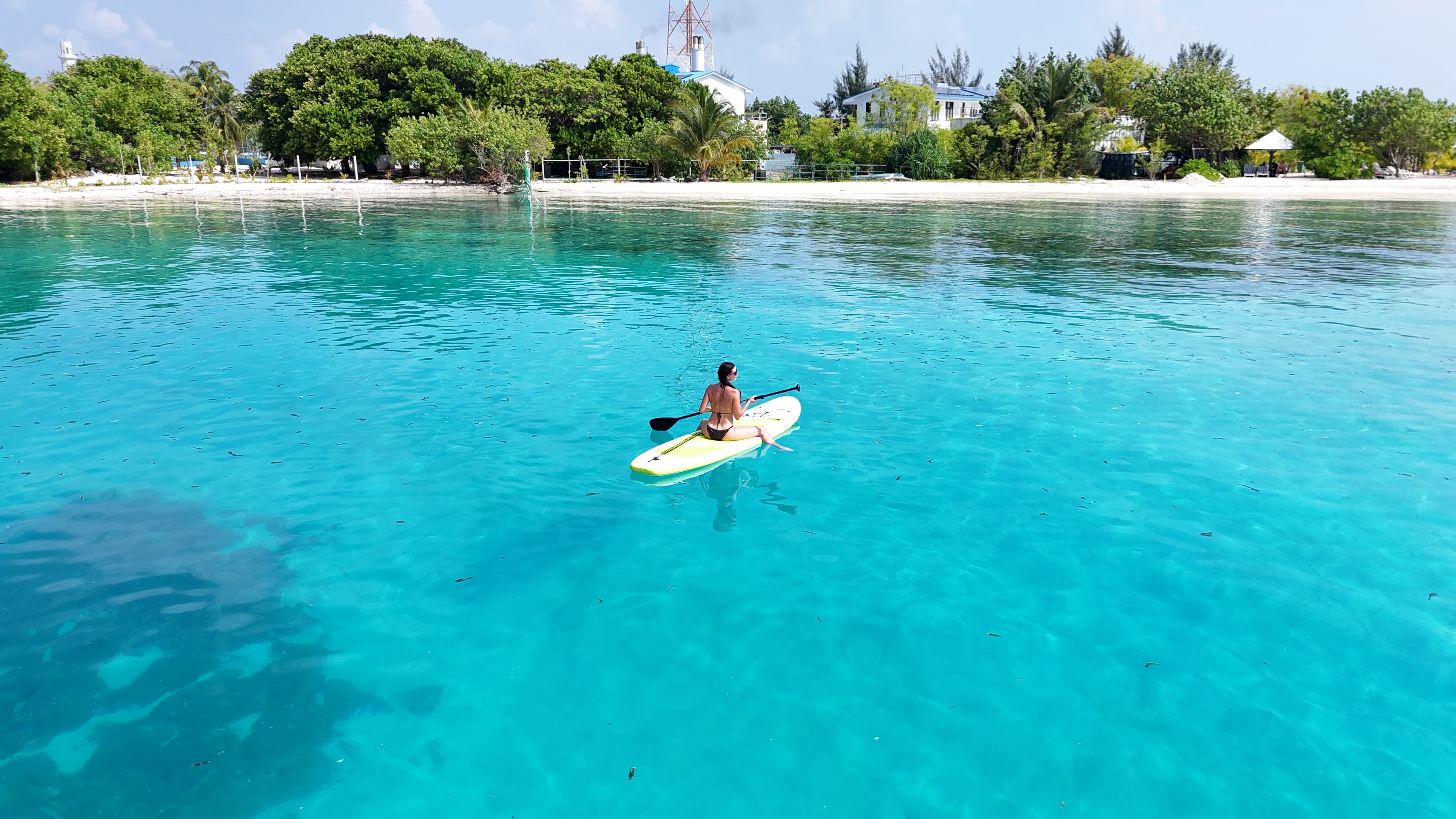 Ocean Adventures