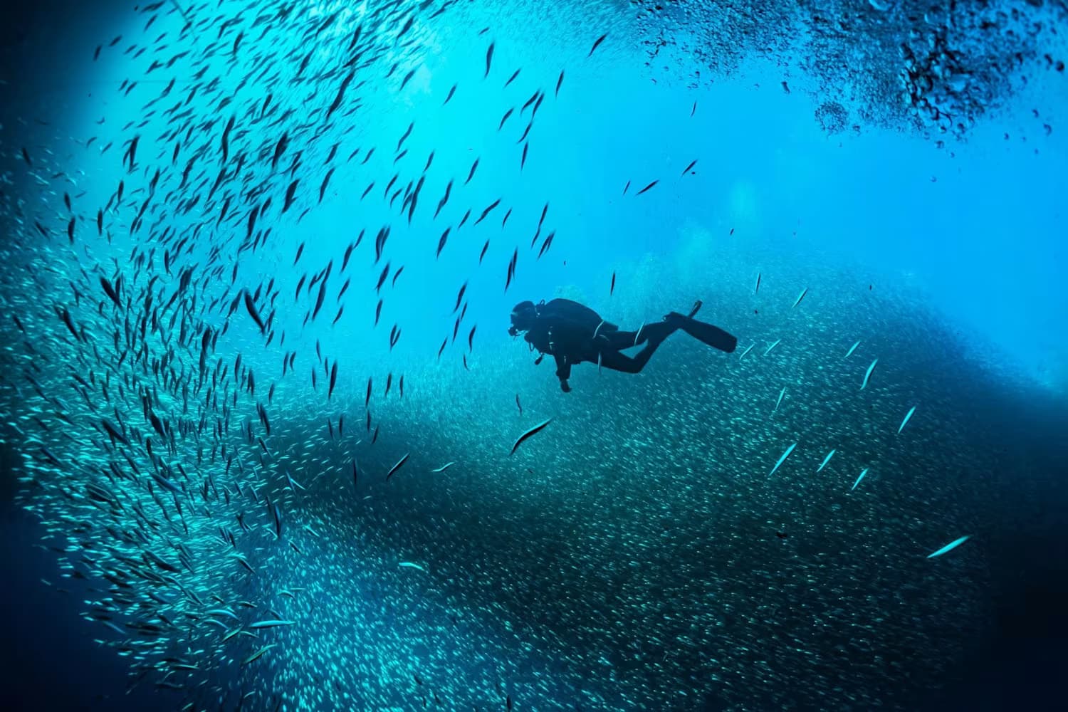 Diving hero